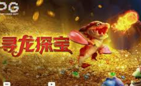 78m.ppt威久国际免费版正式版