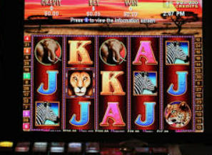 78m.ppt威久国际免费版正式版